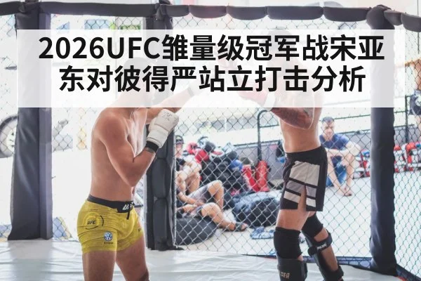 2026UFC雏量级冠军战宋亚东对彼得严站立打击分析